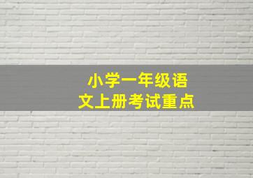 小学一年级语文上册考试重点