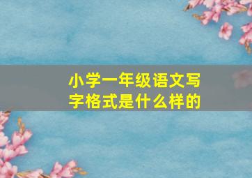 小学一年级语文写字格式是什么样的