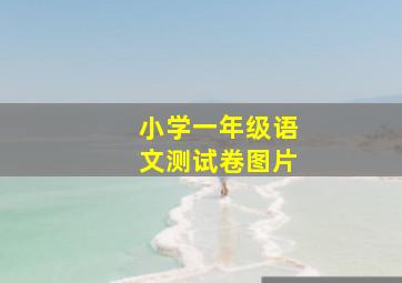 小学一年级语文测试卷图片