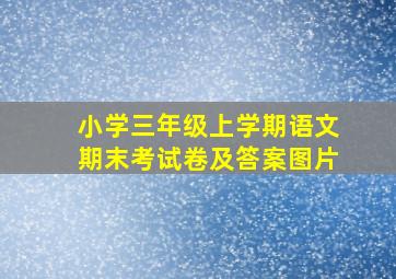 小学三年级上学期语文期末考试卷及答案图片