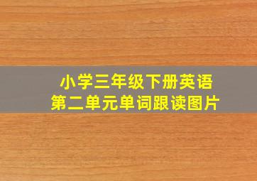 小学三年级下册英语第二单元单词跟读图片