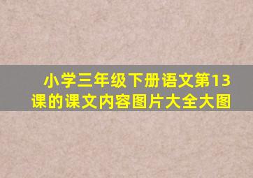 小学三年级下册语文第13课的课文内容图片大全大图