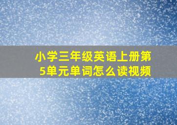 小学三年级英语上册第5单元单词怎么读视频