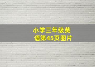 小学三年级英语第45页图片