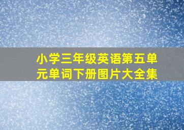 小学三年级英语第五单元单词下册图片大全集