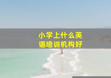 小学上什么英语培训机构好