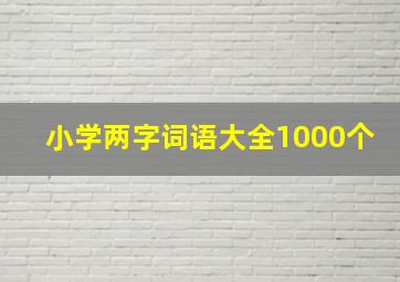 小学两字词语大全1000个