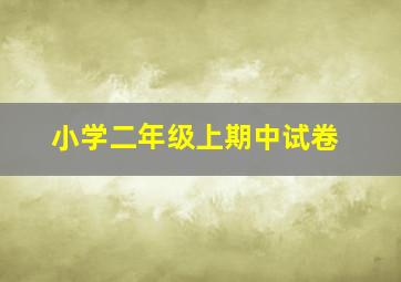 小学二年级上期中试卷