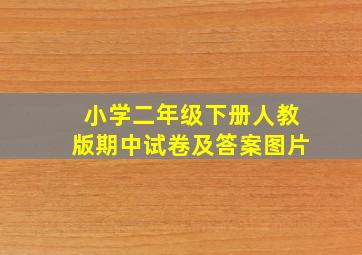 小学二年级下册人教版期中试卷及答案图片