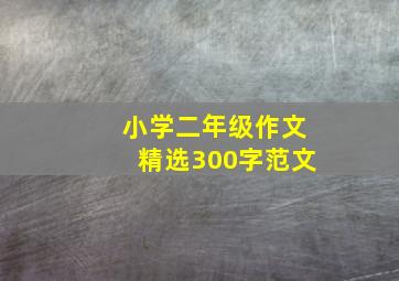 小学二年级作文精选300字范文