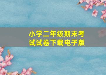 小学二年级期末考试试卷下载电子版