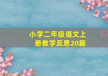 小学二年级语文上册教学反思20篇