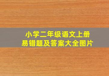 小学二年级语文上册易错题及答案大全图片