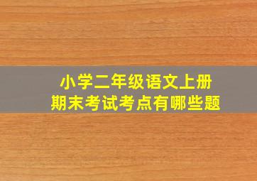 小学二年级语文上册期末考试考点有哪些题