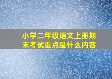 小学二年级语文上册期末考试重点是什么内容