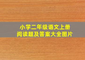 小学二年级语文上册阅读题及答案大全图片