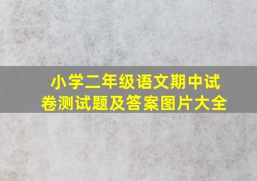 小学二年级语文期中试卷测试题及答案图片大全