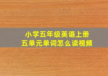 小学五年级英语上册五单元单词怎么读视频