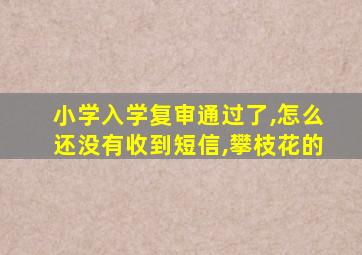 小学入学复审通过了,怎么还没有收到短信,攀枝花的