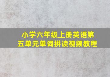 小学六年级上册英语第五单元单词拼读视频教程