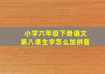 小学六年级下册语文第八课生字怎么加拼音