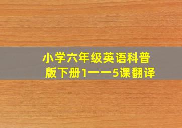 小学六年级英语科普版下册1一一5课翻译