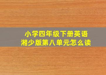 小学四年级下册英语湘少版第八单元怎么读