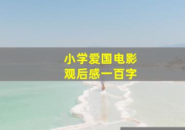 小学爱国电影观后感一百字