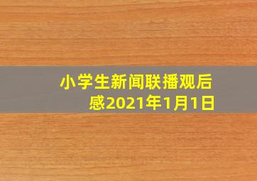 小学生新闻联播观后感2021年1月1日