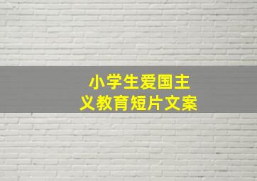 小学生爱国主义教育短片文案