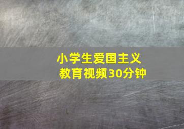 小学生爱国主义教育视频30分钟