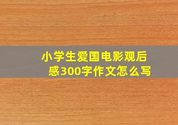 小学生爱国电影观后感300字作文怎么写