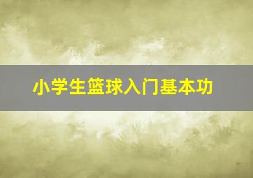 小学生篮球入门基本功