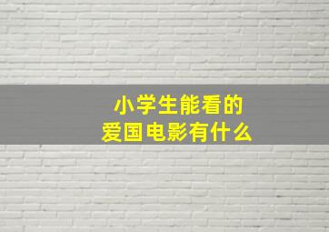 小学生能看的爱国电影有什么