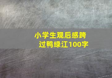 小学生观后感跨过鸭绿江100字