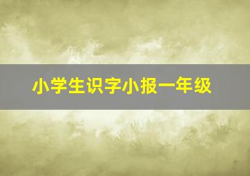 小学生识字小报一年级