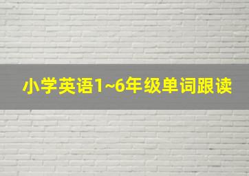 小学英语1~6年级单词跟读