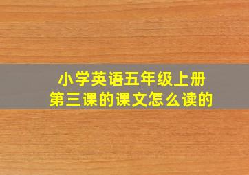 小学英语五年级上册第三课的课文怎么读的