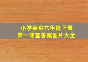 小学英语六年级下册第一课堂答案图片大全