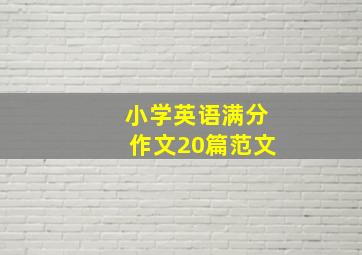 小学英语满分作文20篇范文