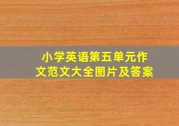 小学英语第五单元作文范文大全图片及答案