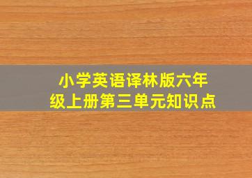 小学英语译林版六年级上册第三单元知识点