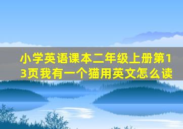 小学英语课本二年级上册第13页我有一个猫用英文怎么读