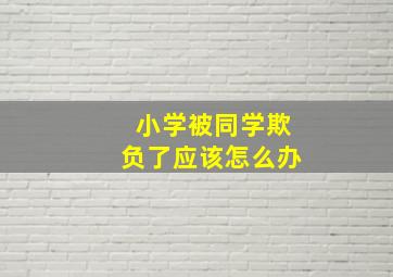 小学被同学欺负了应该怎么办