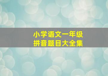 小学语文一年级拼音题目大全集