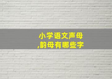 小学语文声母,韵母有哪些字