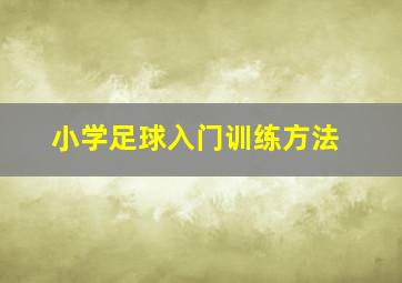 小学足球入门训练方法