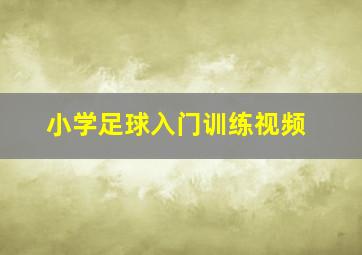 小学足球入门训练视频