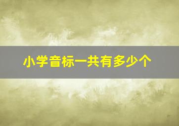 小学音标一共有多少个