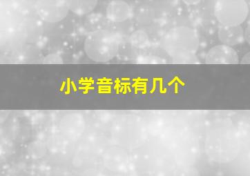 小学音标有几个